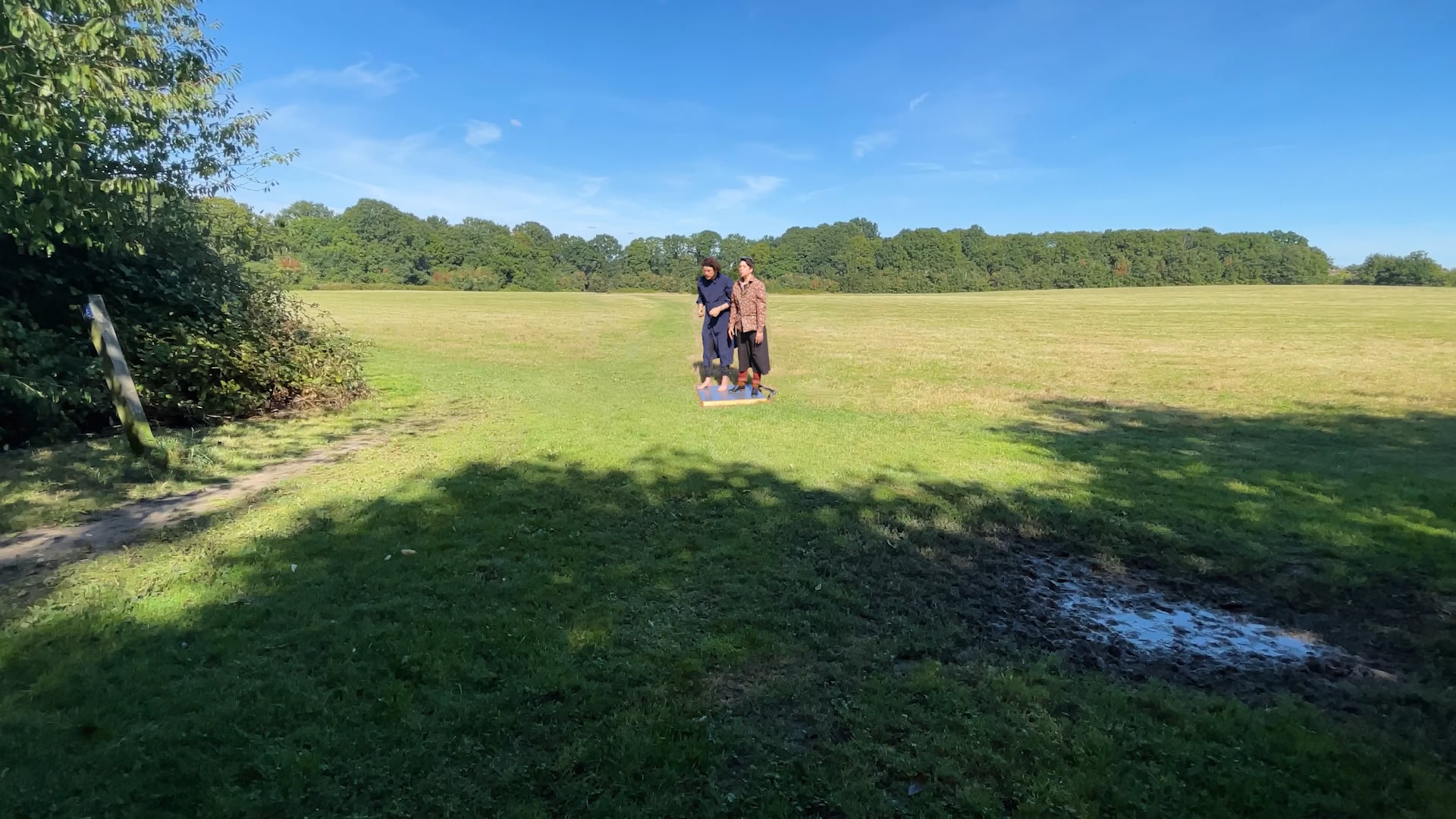 Tom O'Bedlam & Mad Maudlin—Lunatraktors