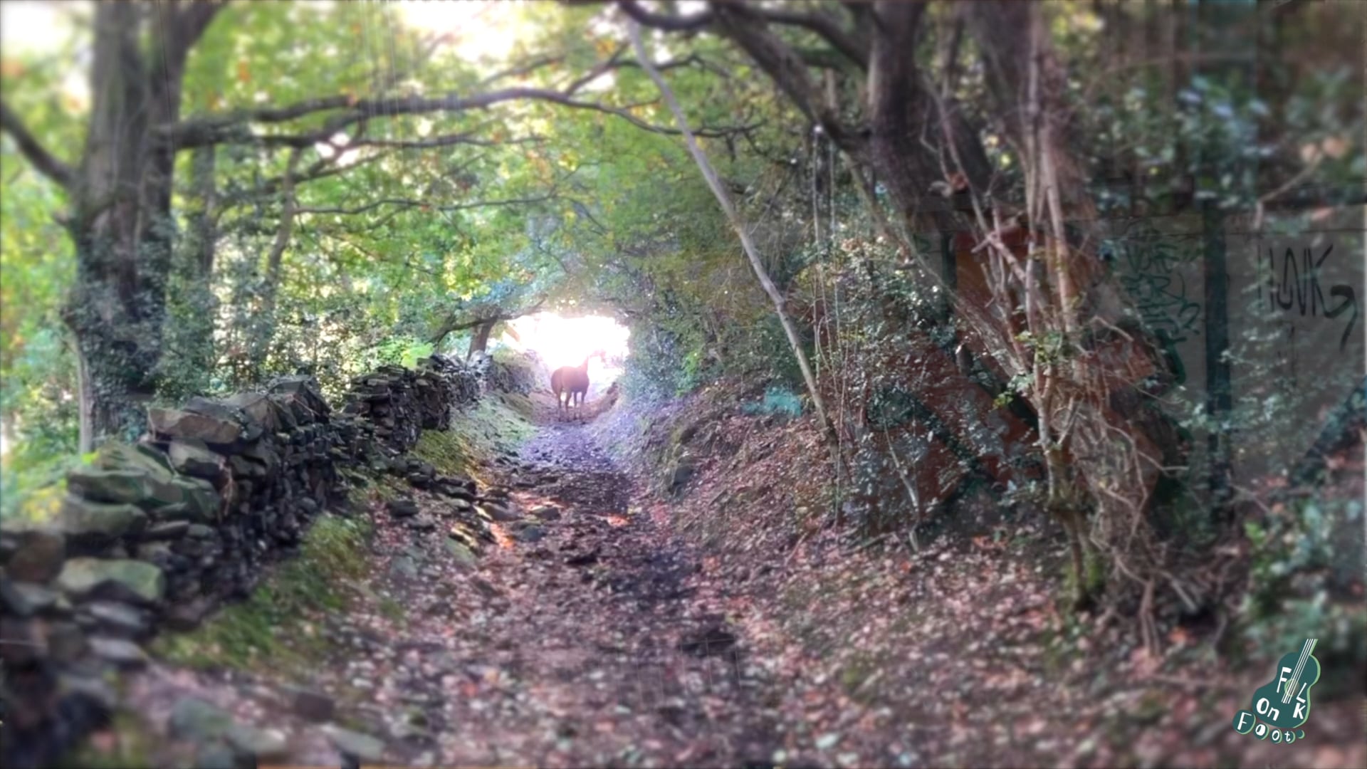 Dancing in the Factory