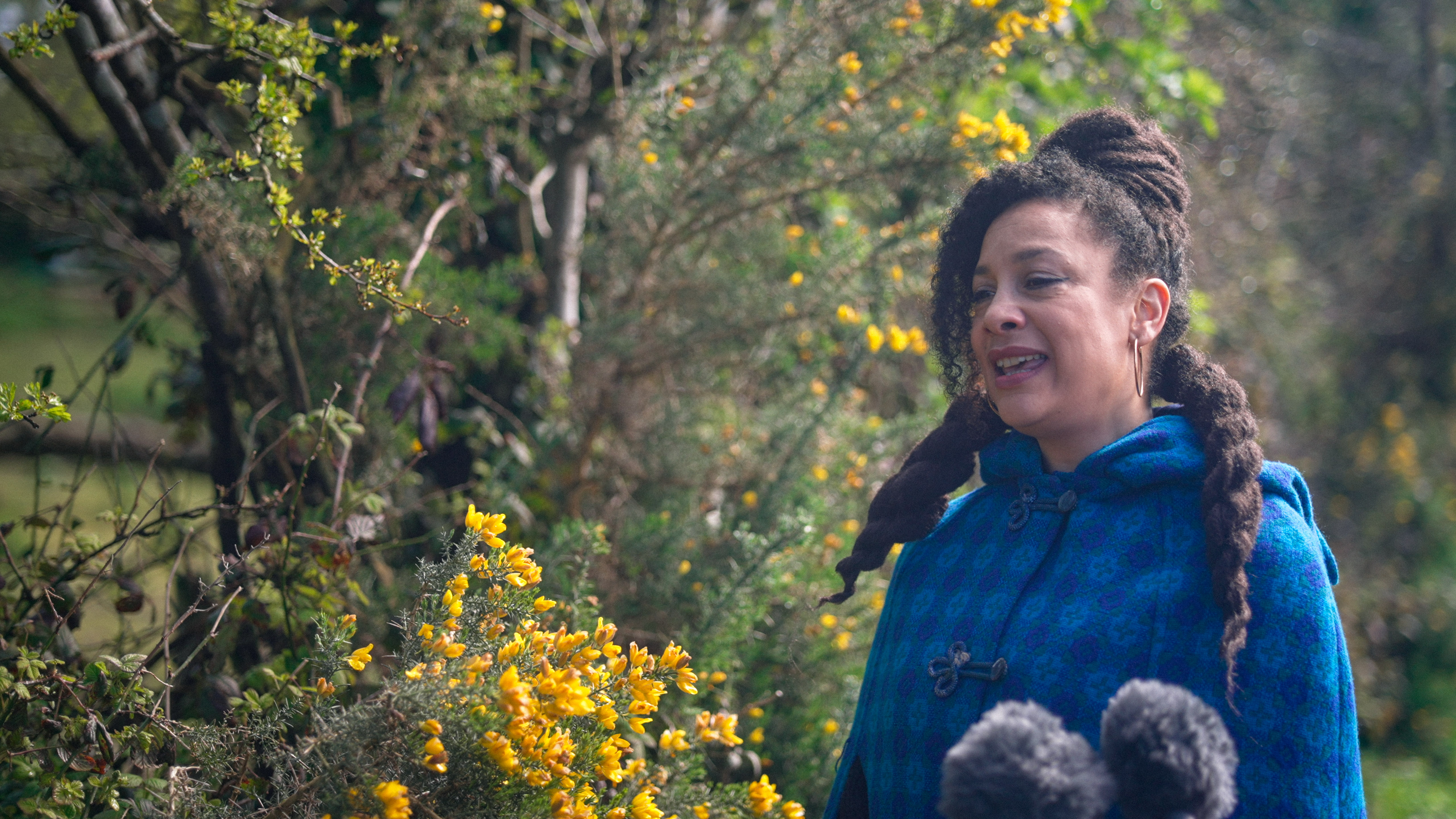 De Dul Vyttyn—Angeline Morrison