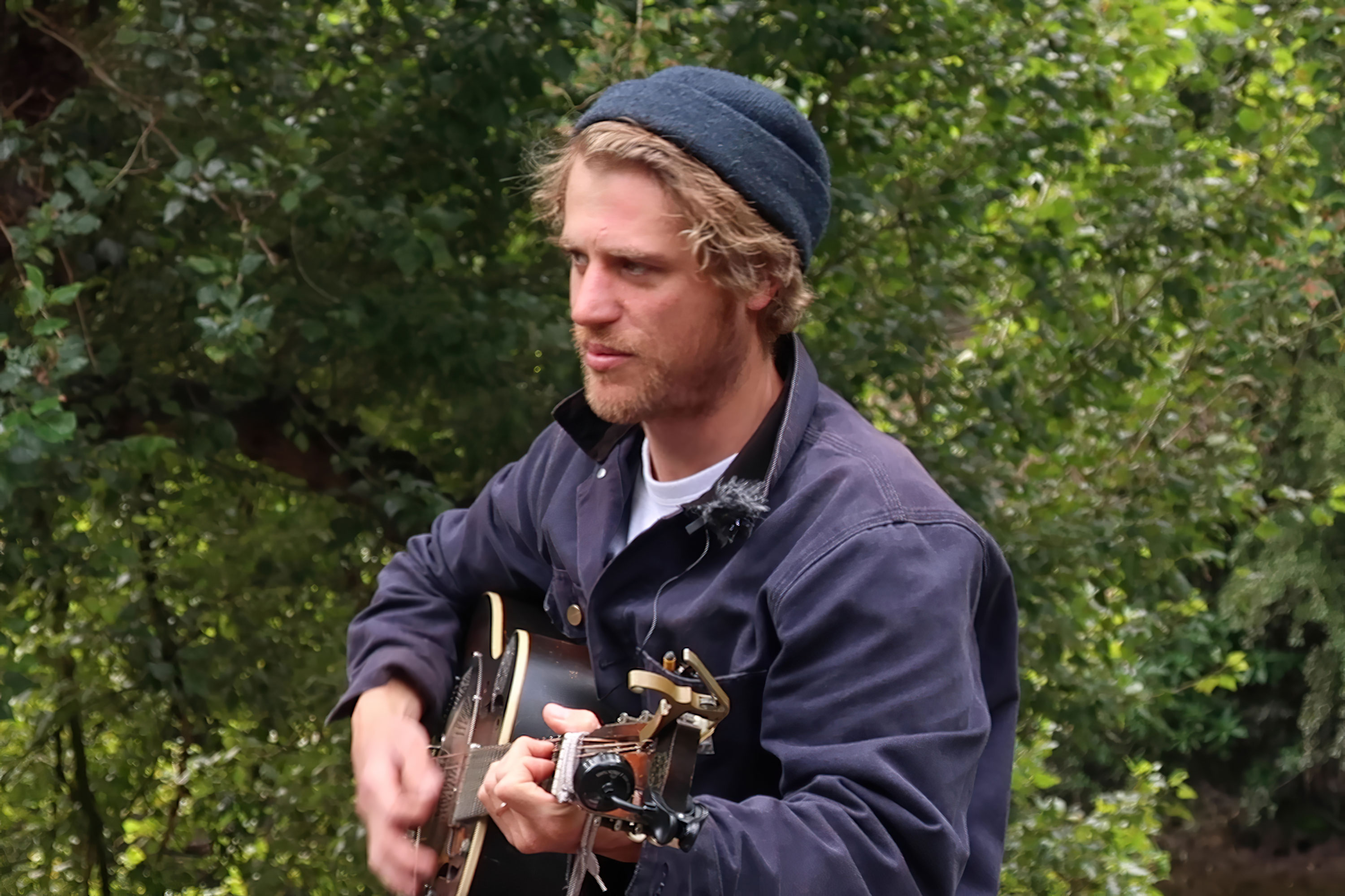 Hares on the Mountain