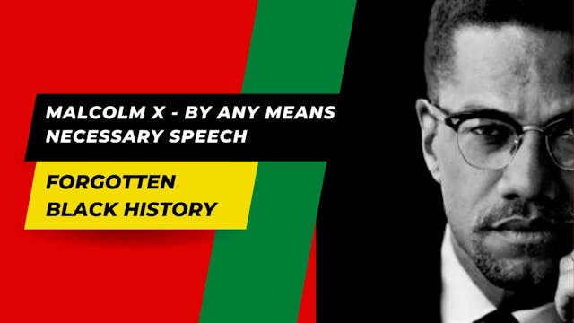 Malcolm X - By Any Means Necessary Speech