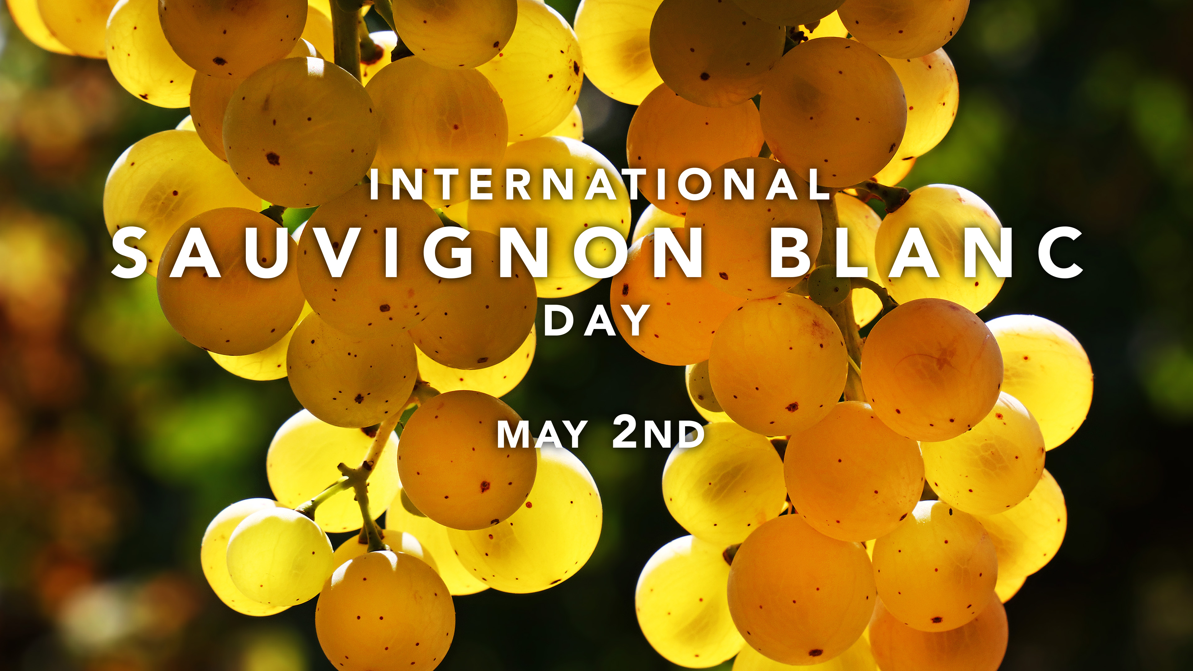 International Sauvignon Blanc Day