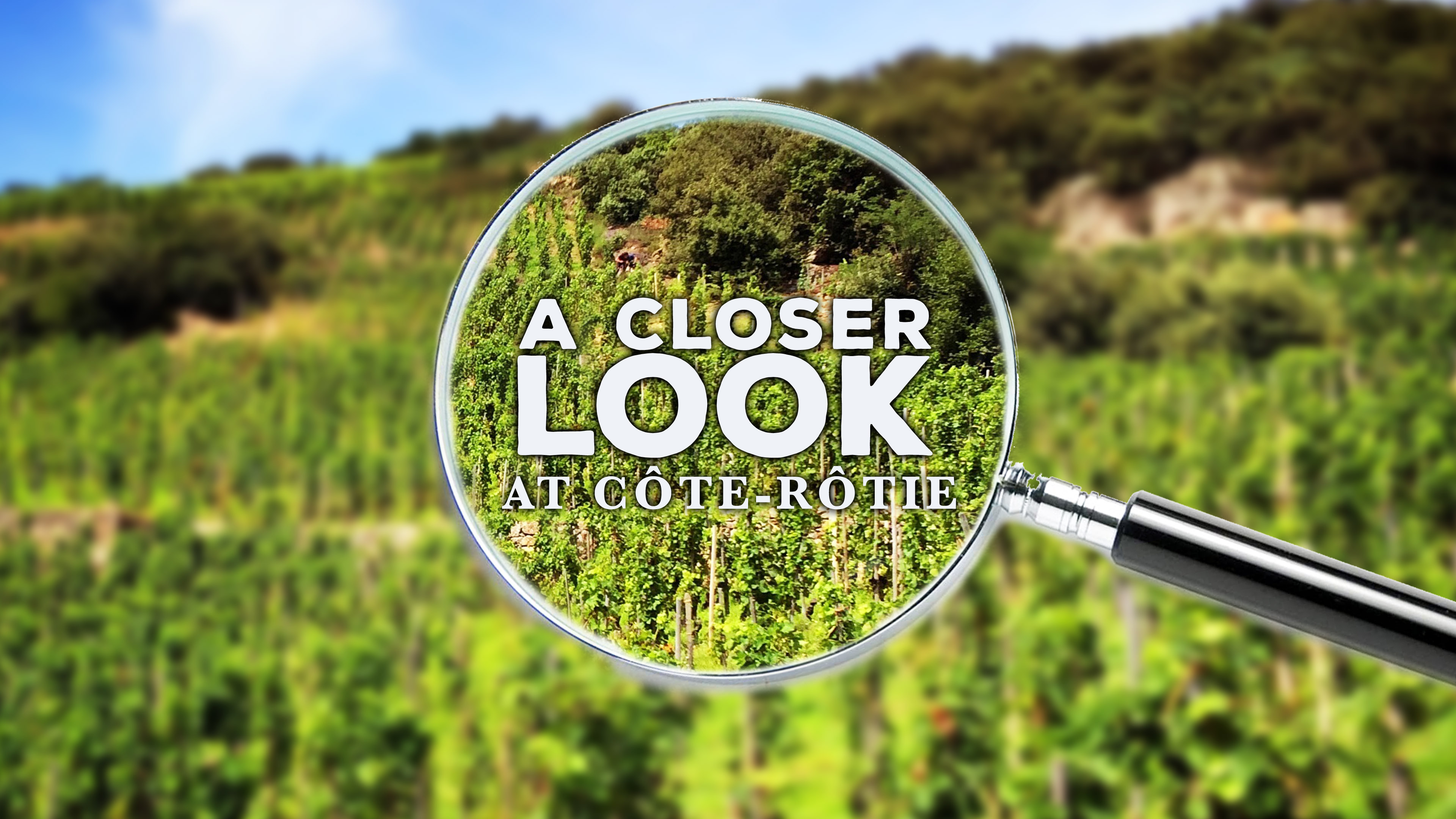 A Closer Look at Côte-Rôtie