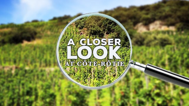 A Closer Look at Côte-Rôtie