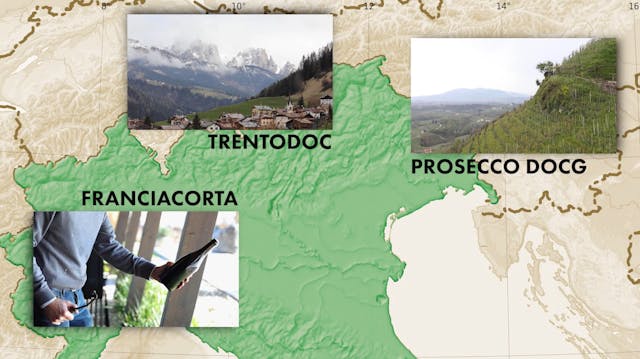 Sip Trip | Episode 1: Bubbles