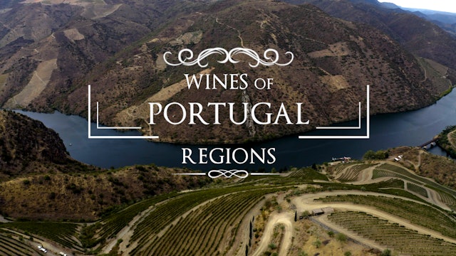 Wines of Portugal Master Class: Regions