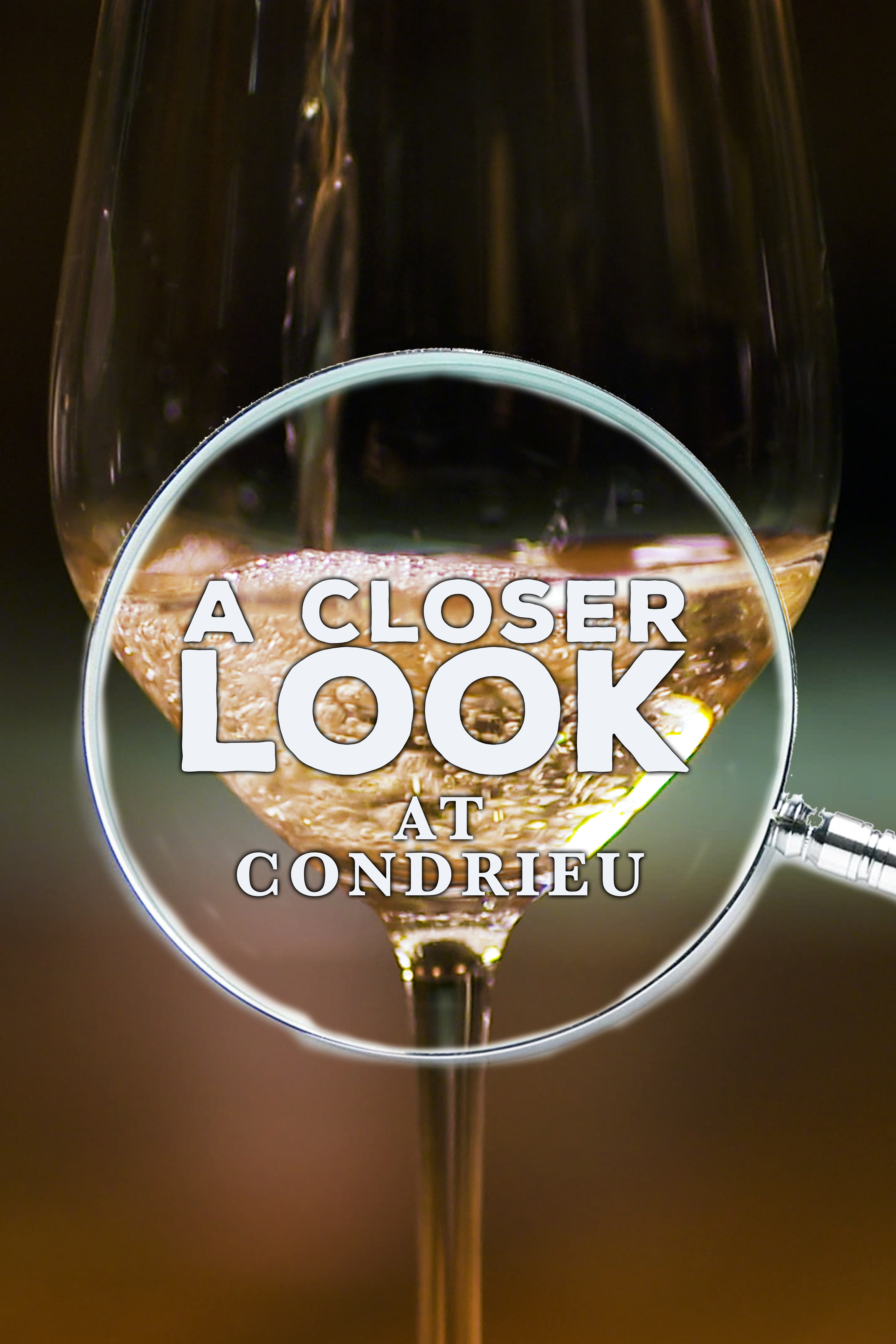 A Closer Look at Condrieu