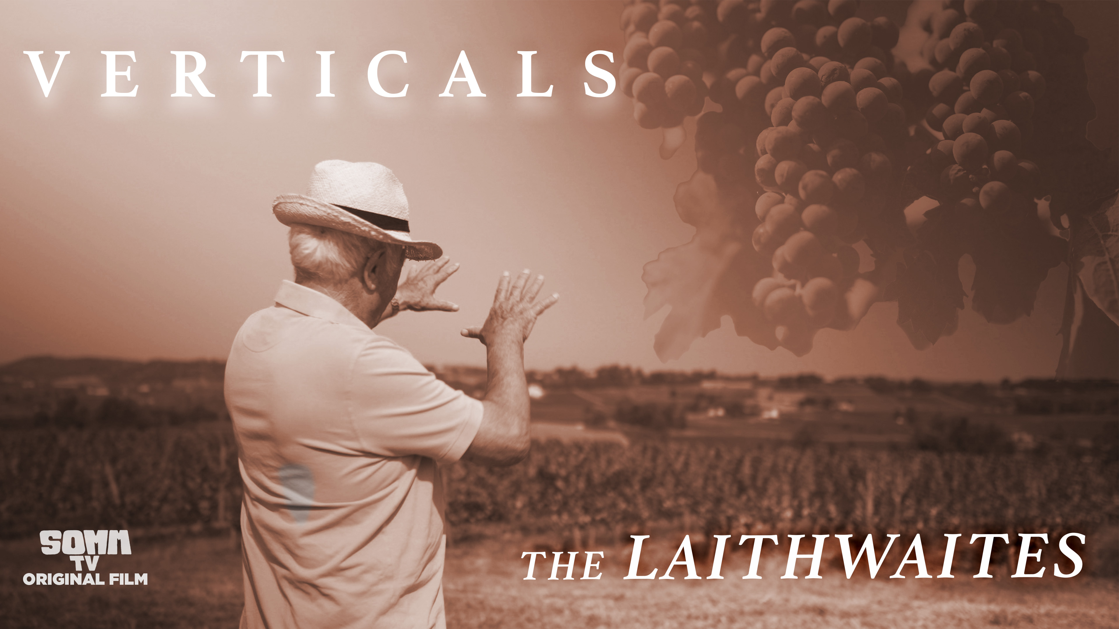Verticals: The Laithwaites
