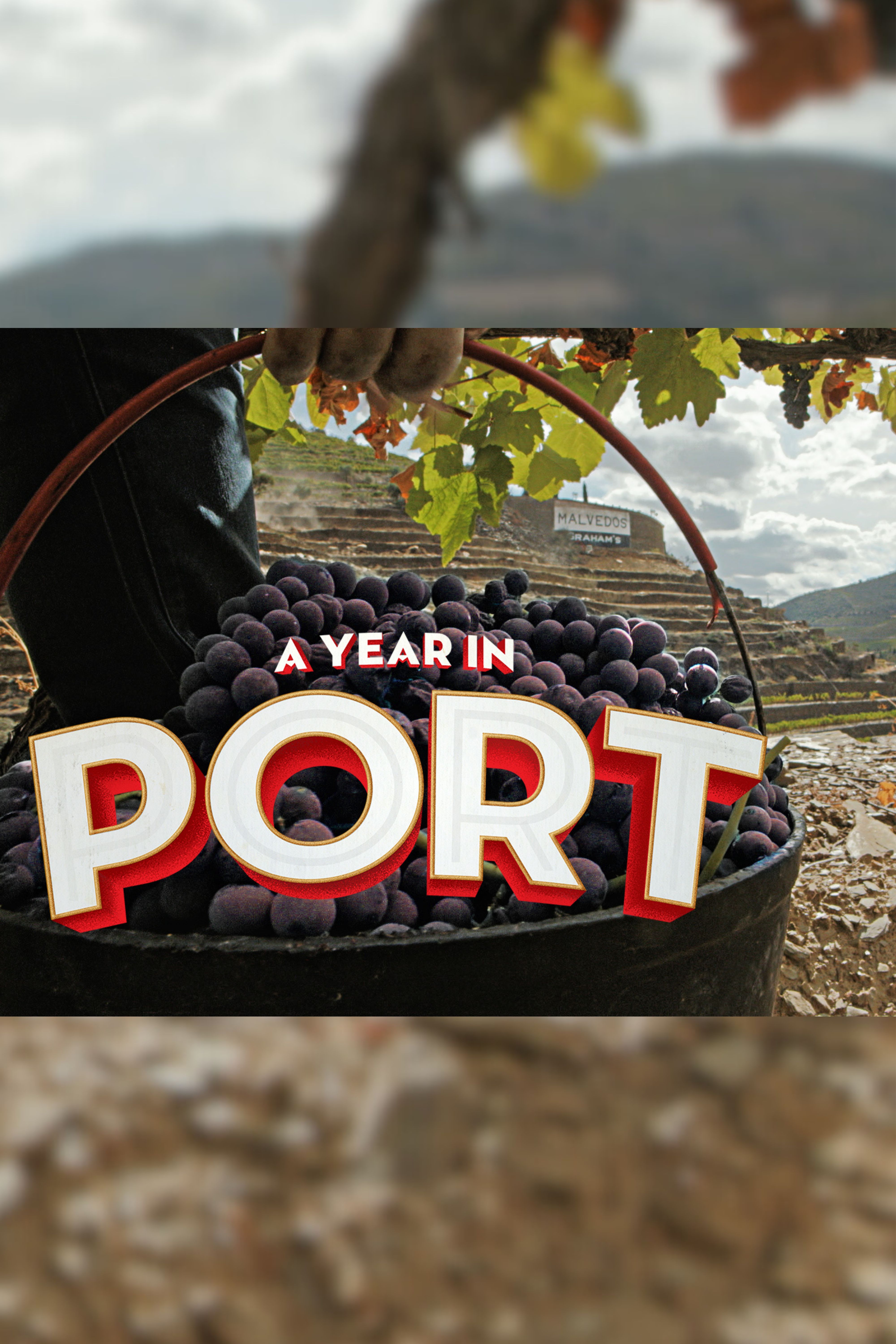 A Year in Port