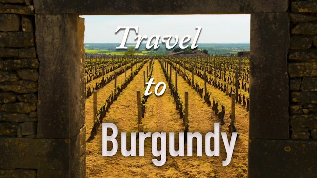 Travel to Burgundy with SOMM TV