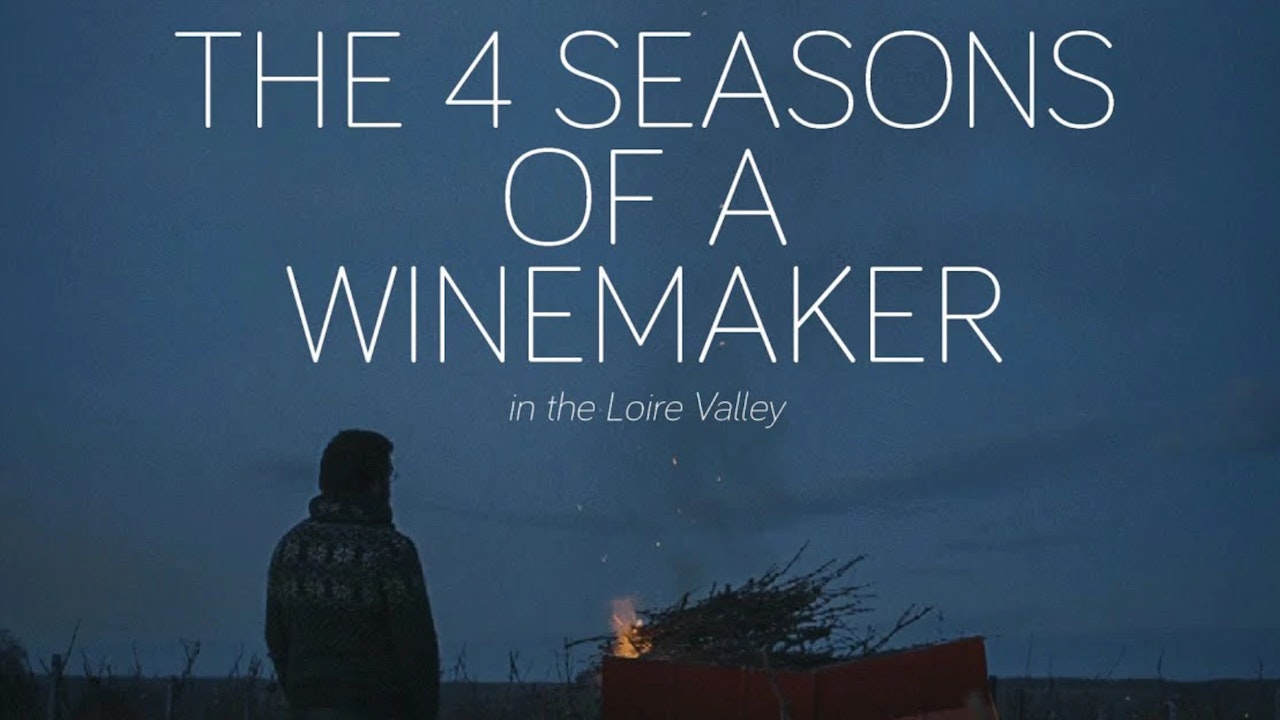 The 4 Seasons of a Winemaker