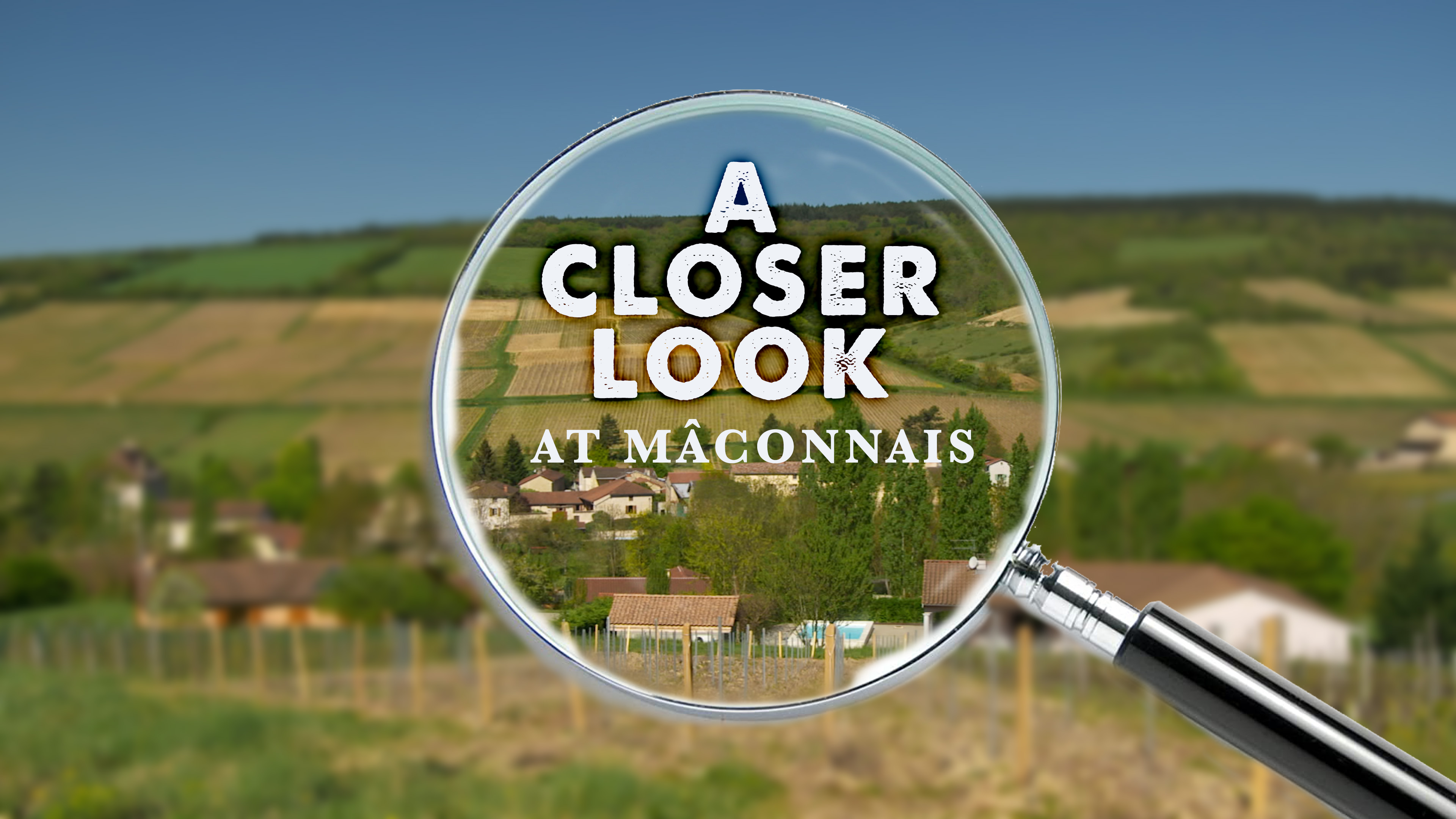 A Closer Look at The Mâconnais