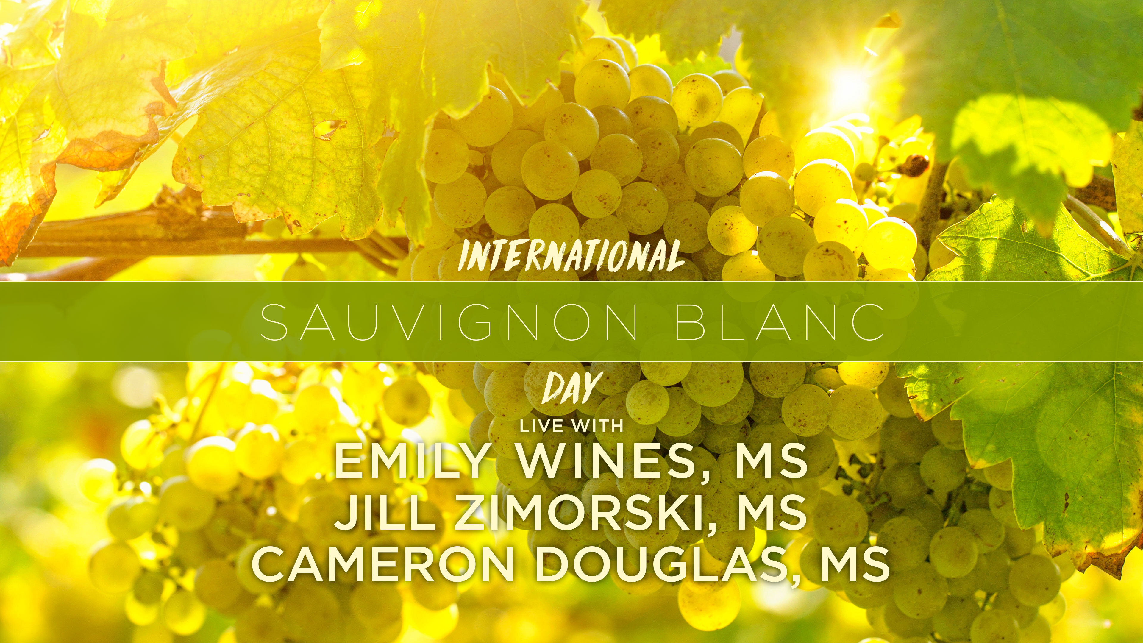 Celebrating Sauvignon Blanc Day with Emily Wines