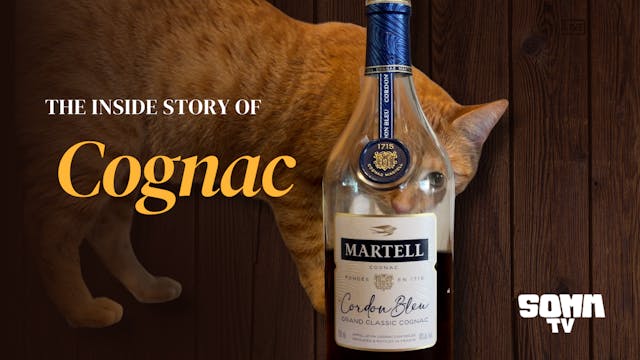 The Inside Story of Cognac