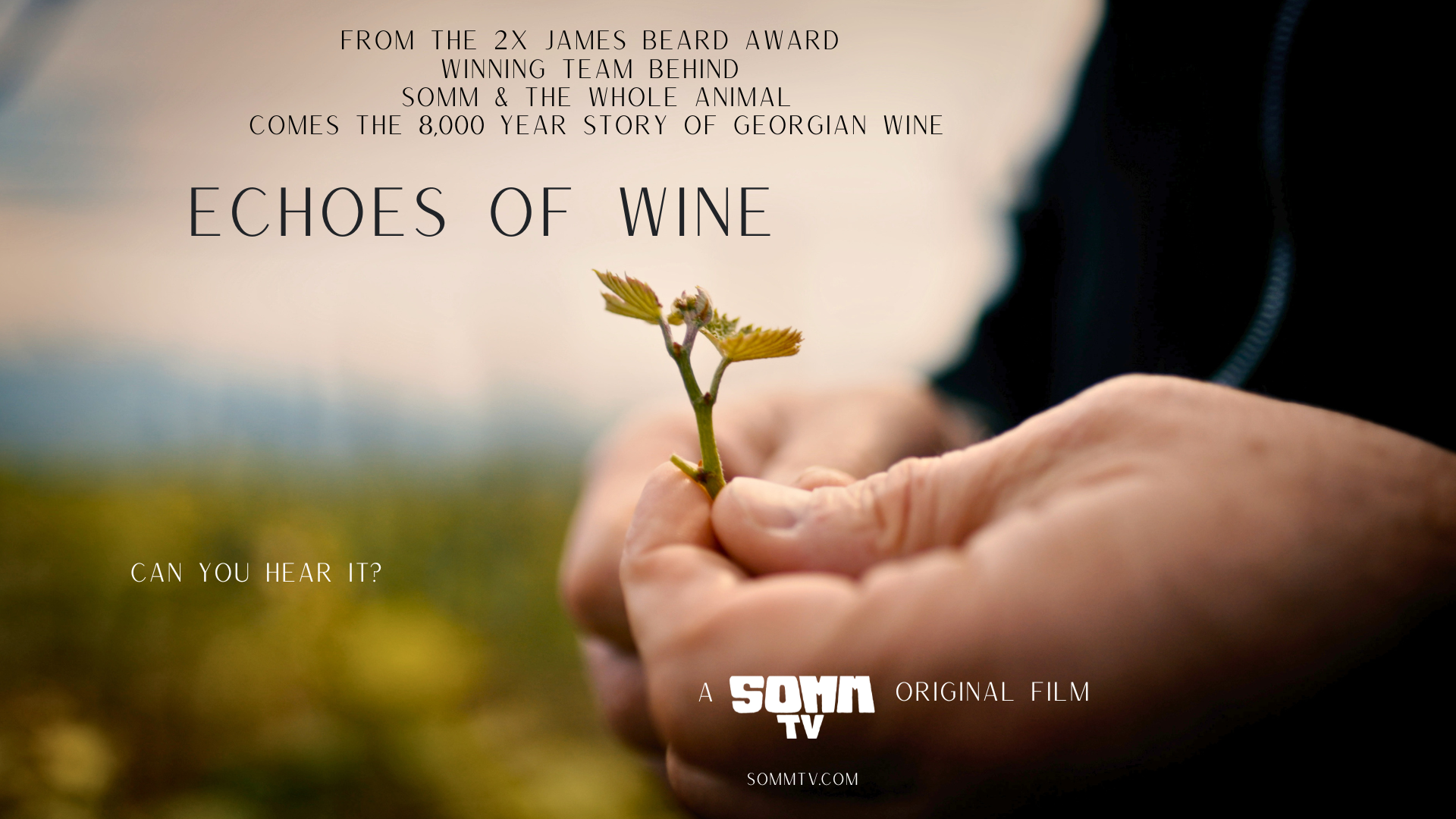 ECHOES OF WINE