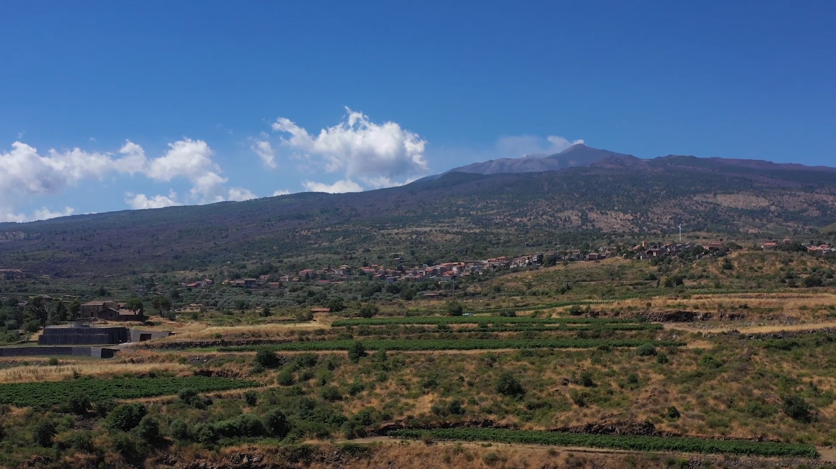 Sip Trip | Episode 10: You will always NEED to come back