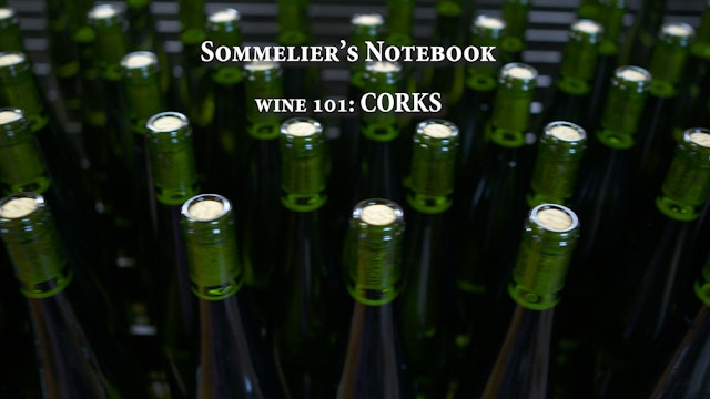 An Intro to Corks