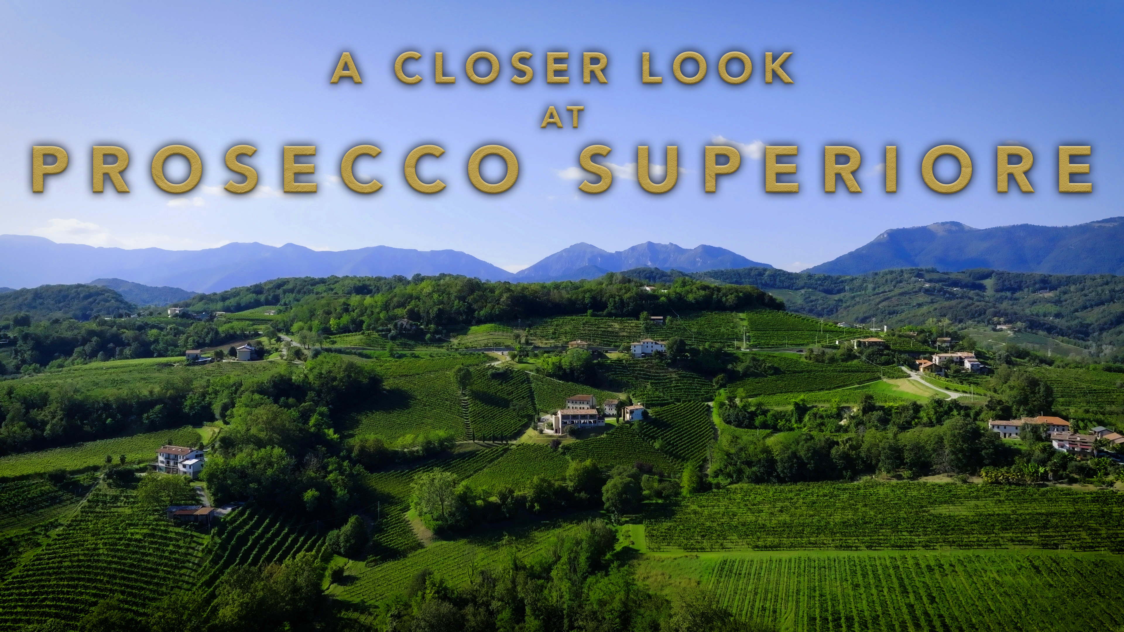 A Closer Look at Prosecco Superiore