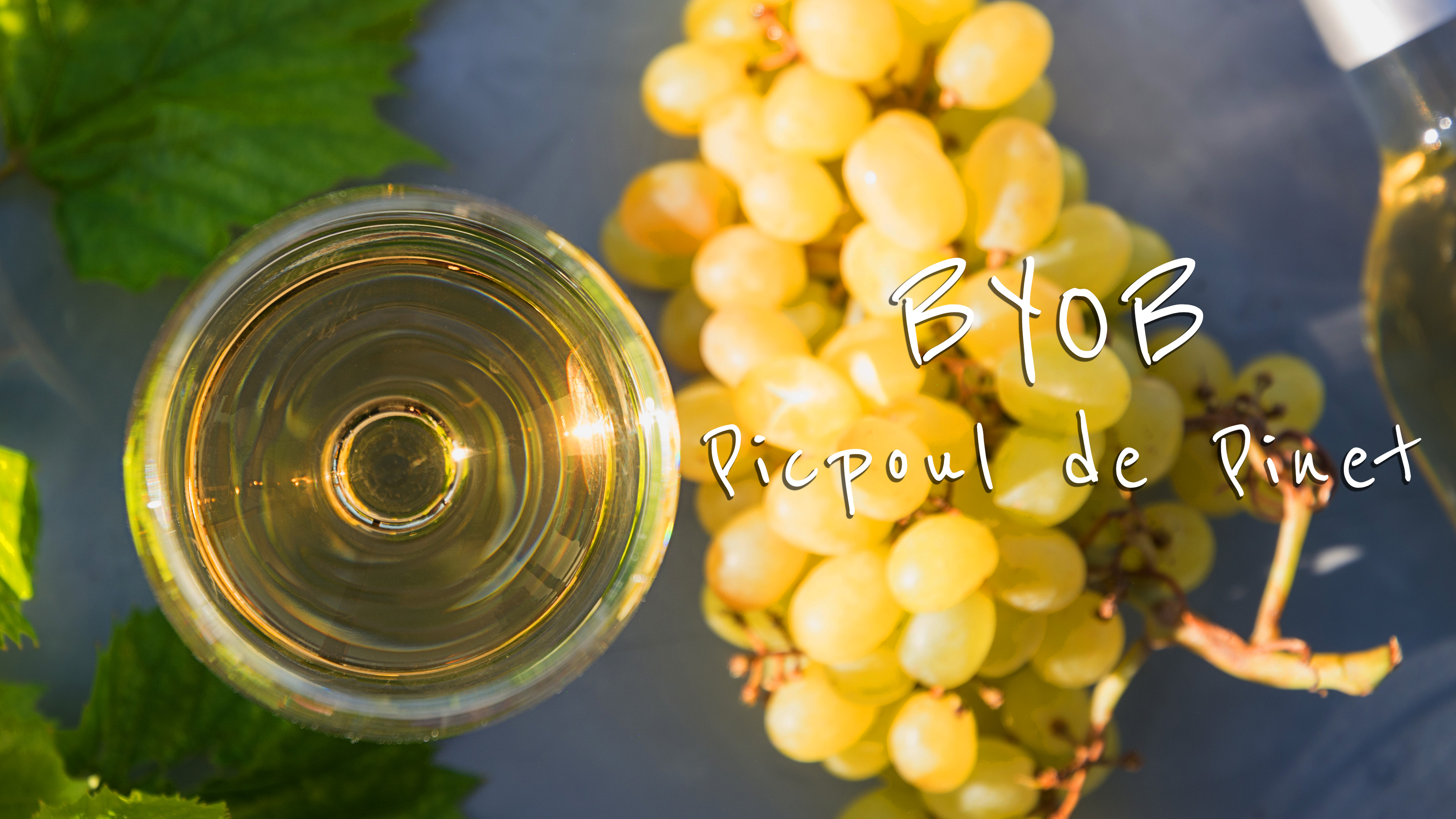 BYOB: Picpoul de Pinet