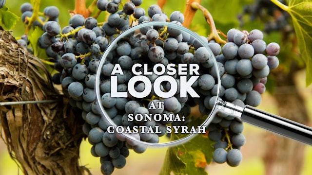 A Closer Look at Sonoma: Coastal Syrah