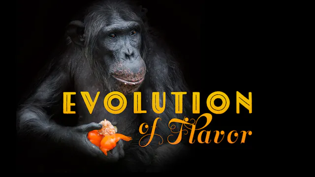 Evolution of Flavor
