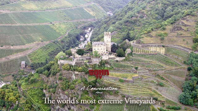 The Most Extreme Vineyards in the World