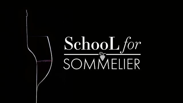 School for Sommelier