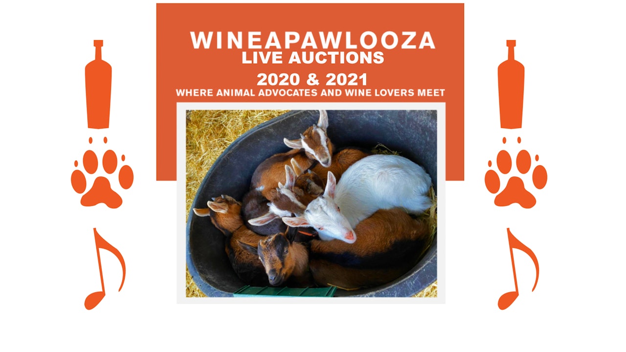 WineaPAWLooza Live Auctions 2020 & 2021