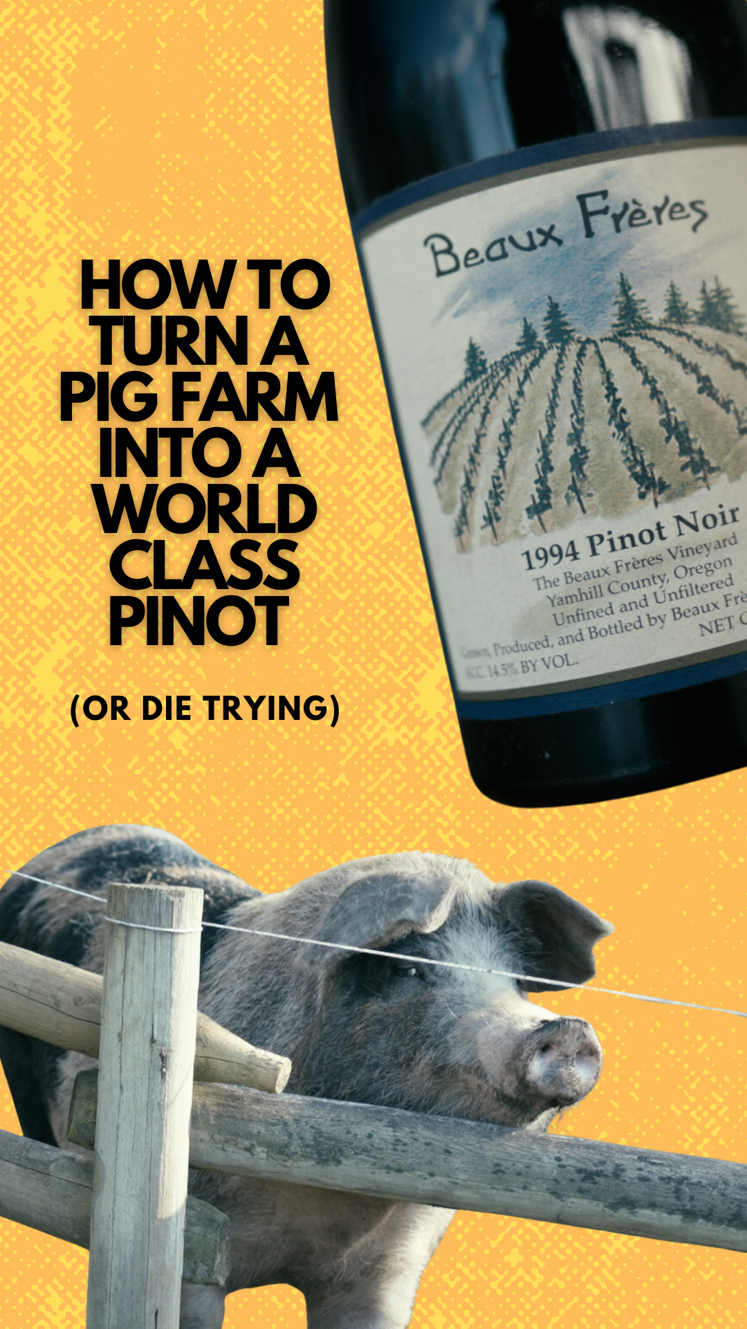 How to turn a pig farm into a world class pinot (or die trying)
