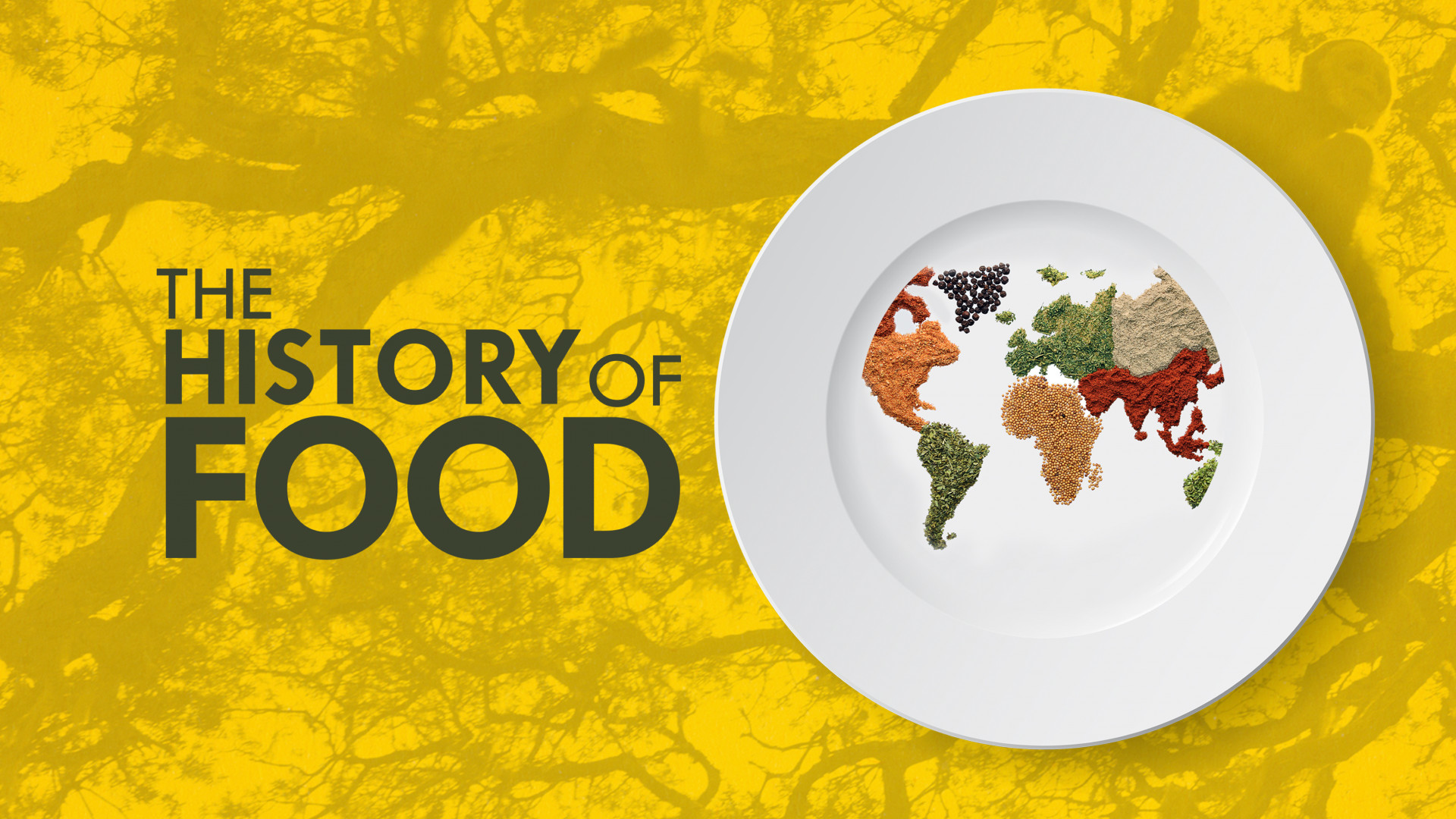 The History of Food