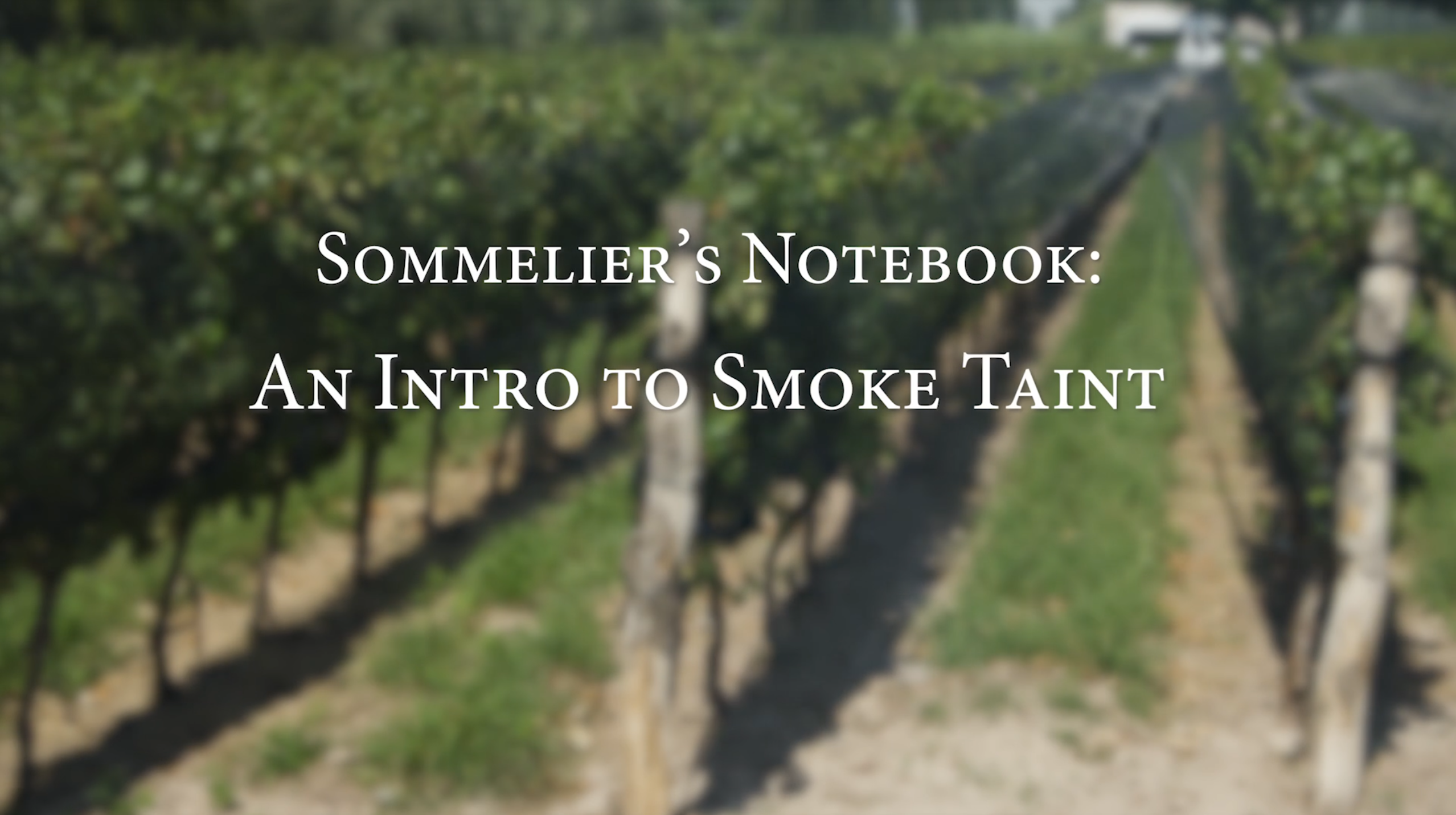 An Intro to Smoke Taint