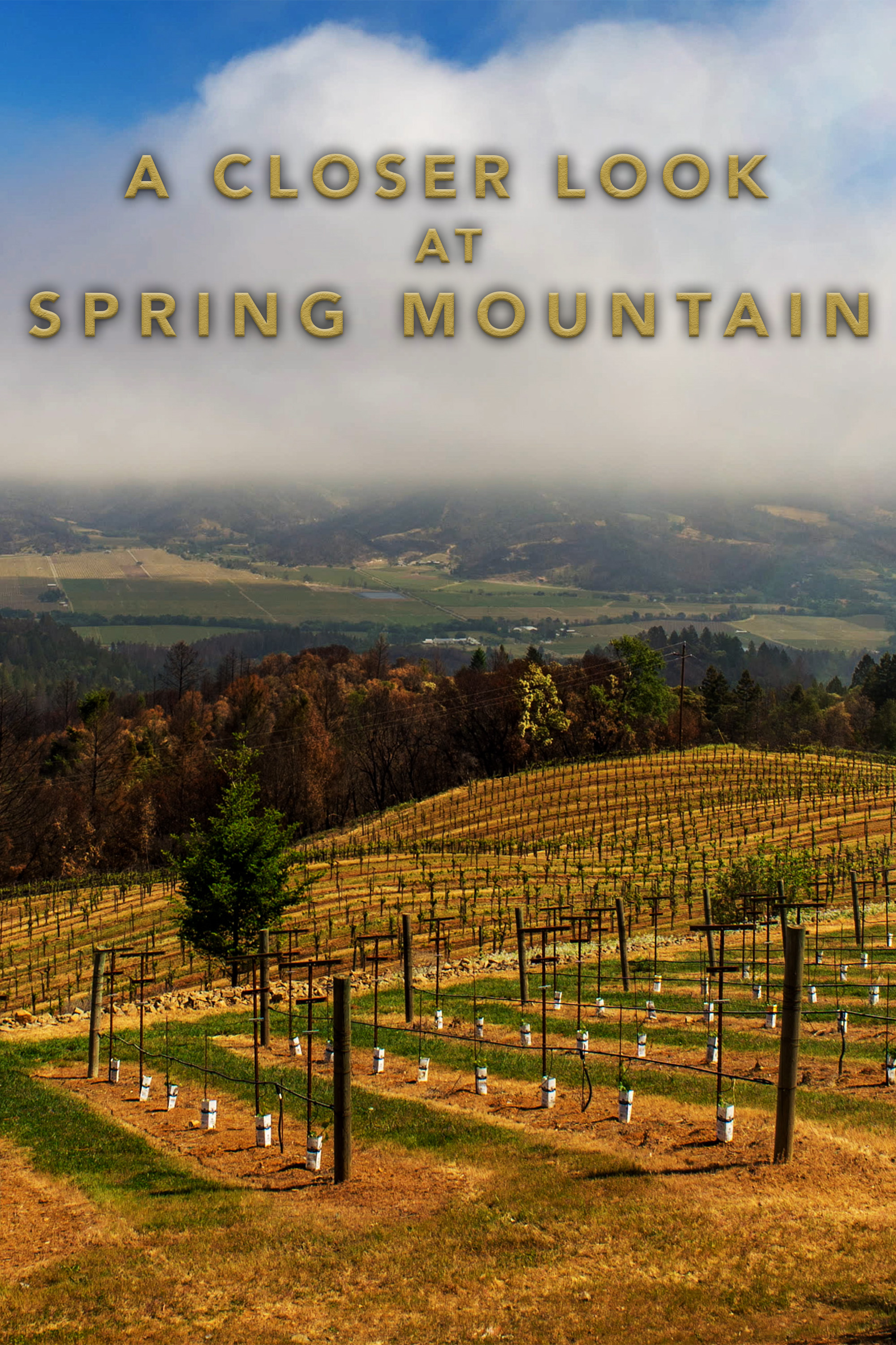 A Closer Look at Spring Mountain