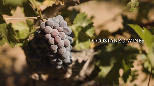 A Di Costanzo Wine Tasting
