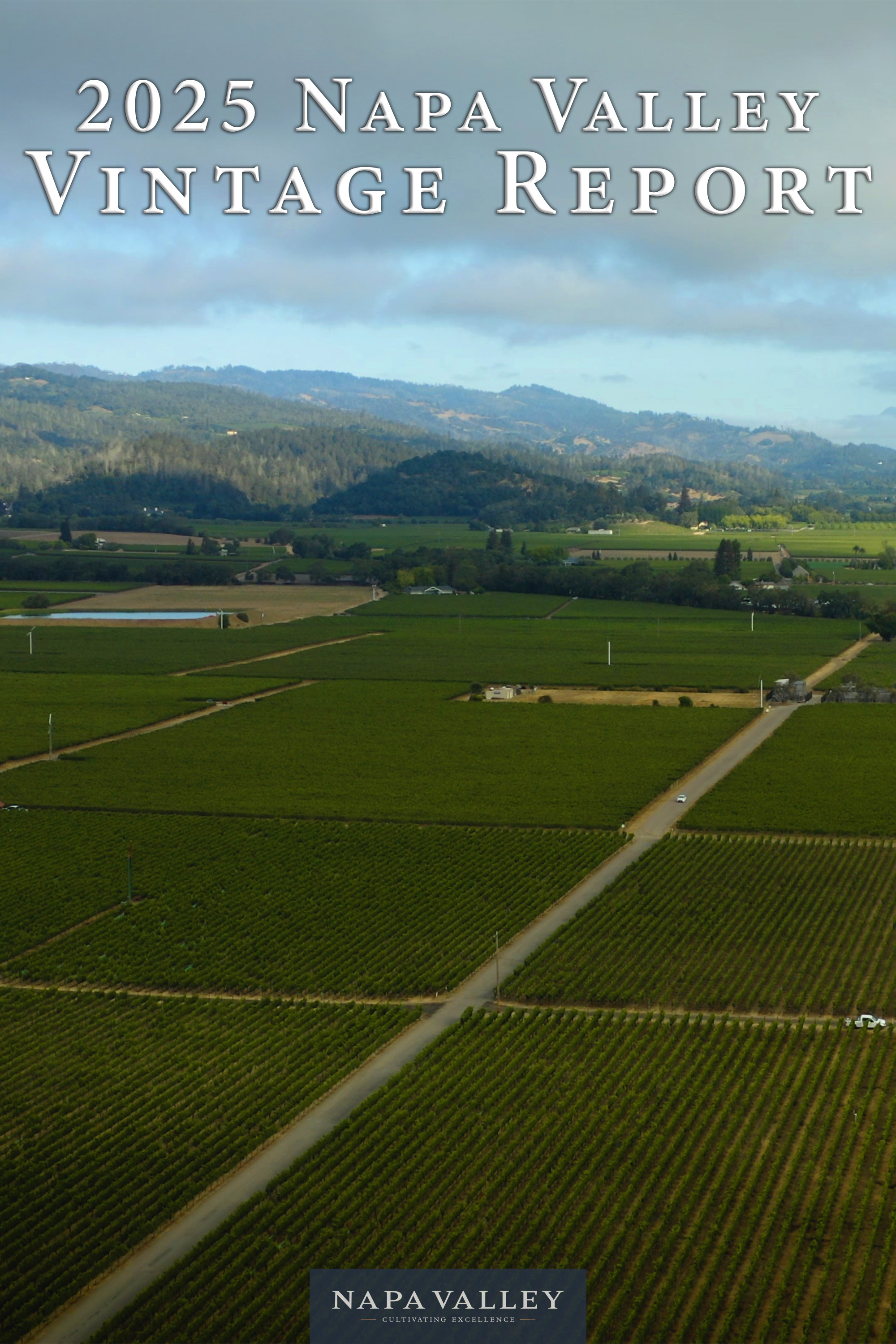 2025 Napa Valley Vintage Report