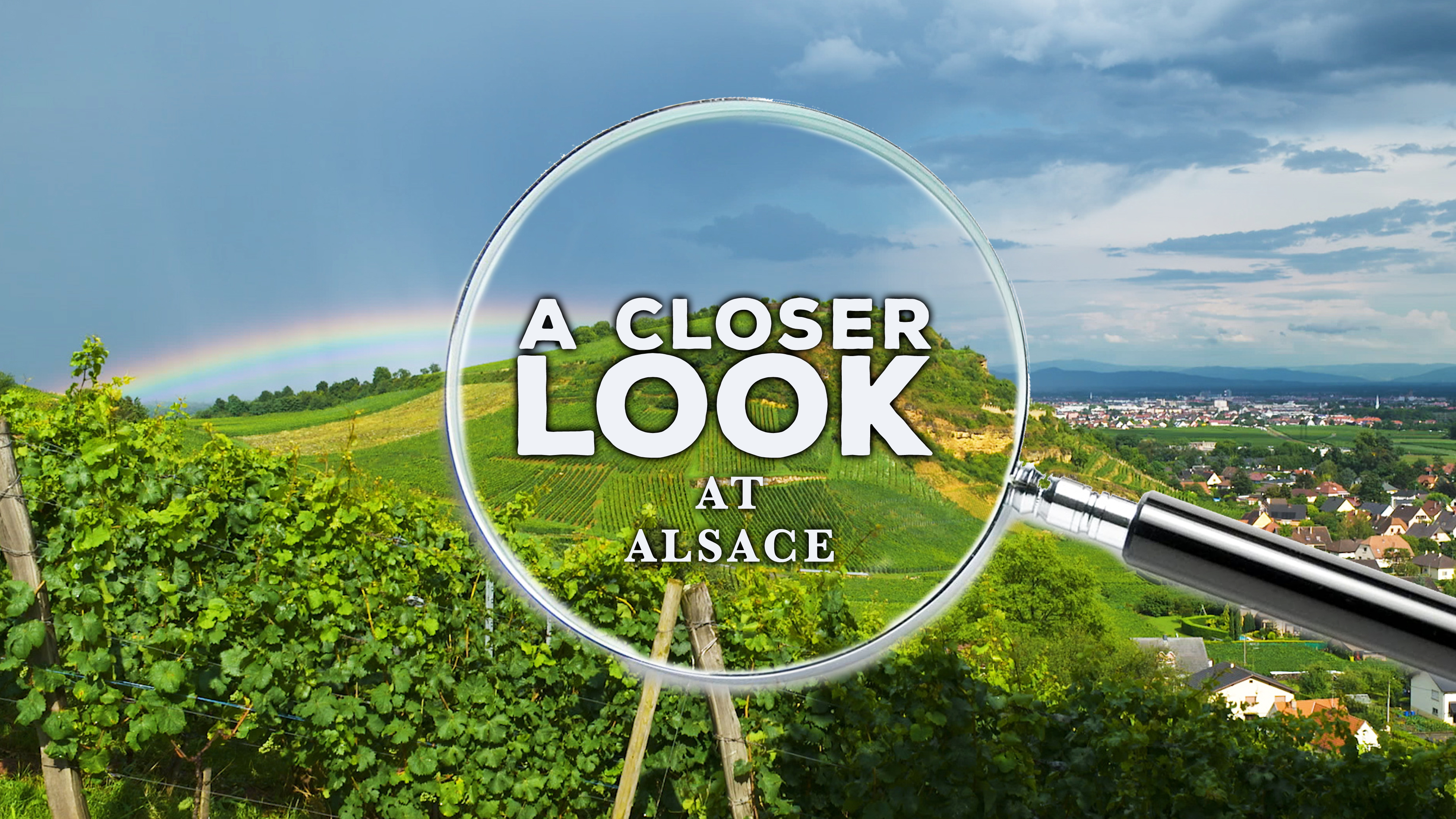 A Closer Look at Alsace