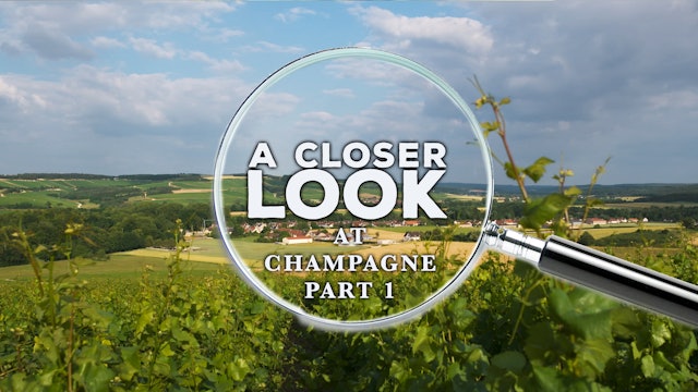 A Closer Look at Champagne: Part 1