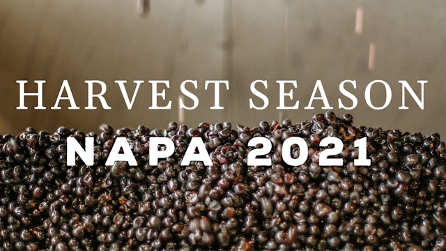 Harvest Season - Napa 2021