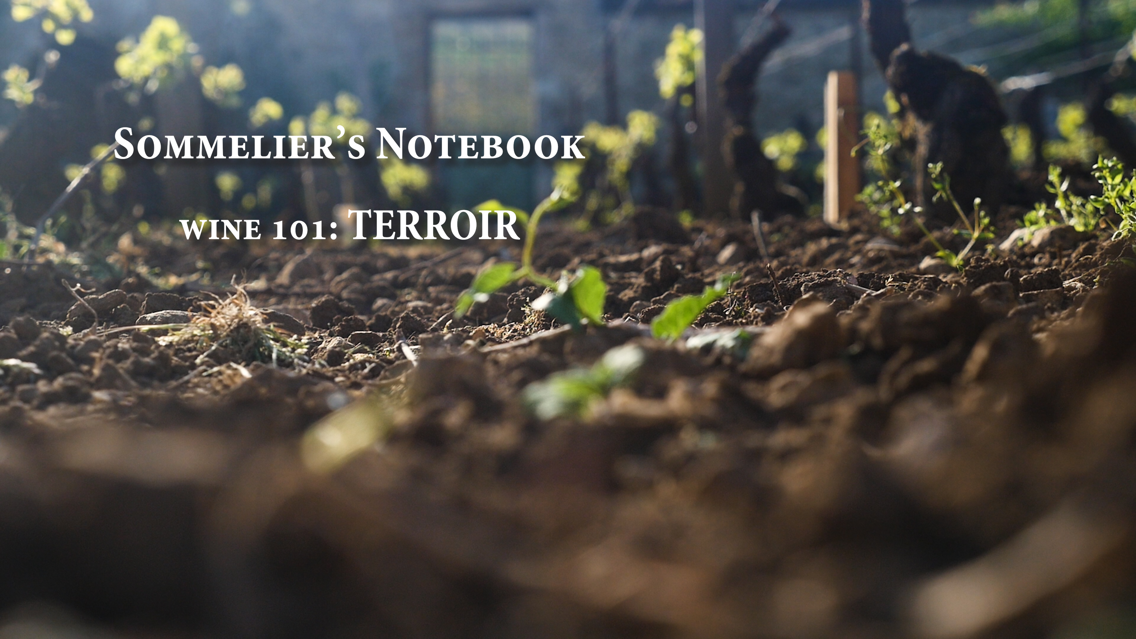 An Intro to Terroir