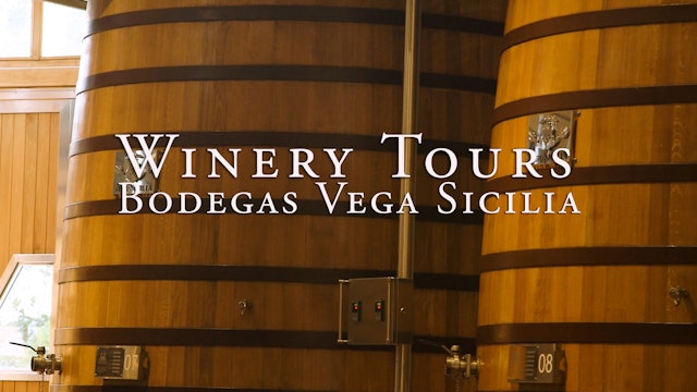 Bodegas Vega Sicilia Winery Tour