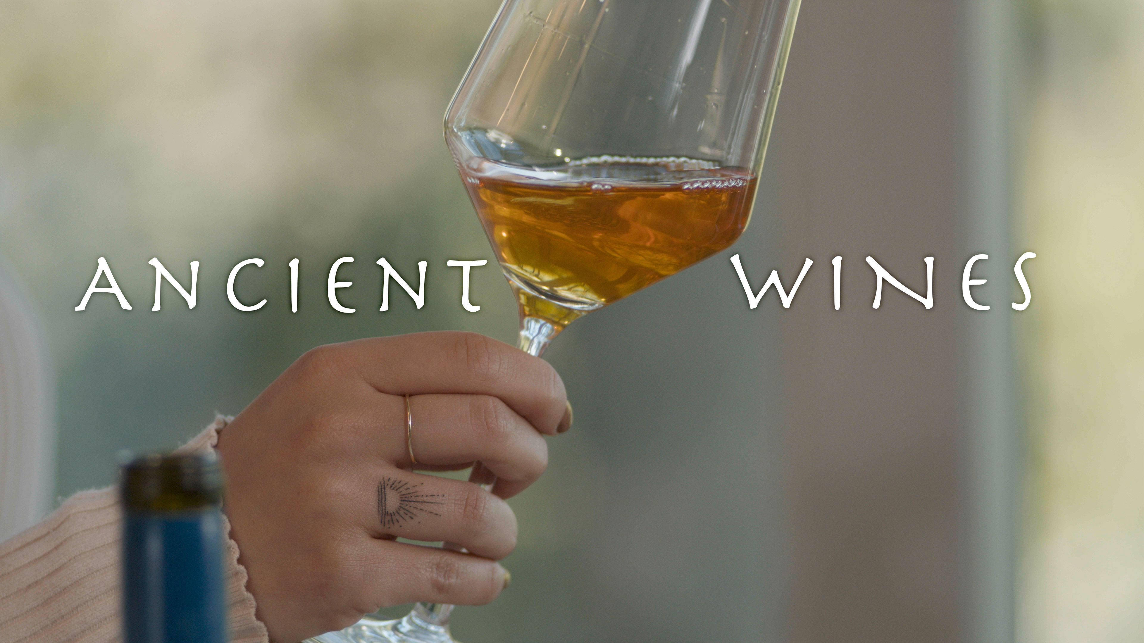 Tasting Notes: Ancient Wine