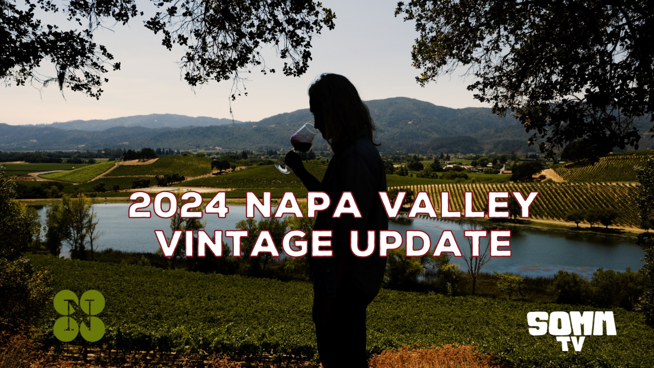 Napa Valley Vintage Update: 2024