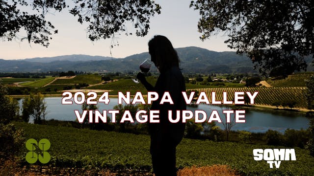 Napa Valley Vintage Update: 2024