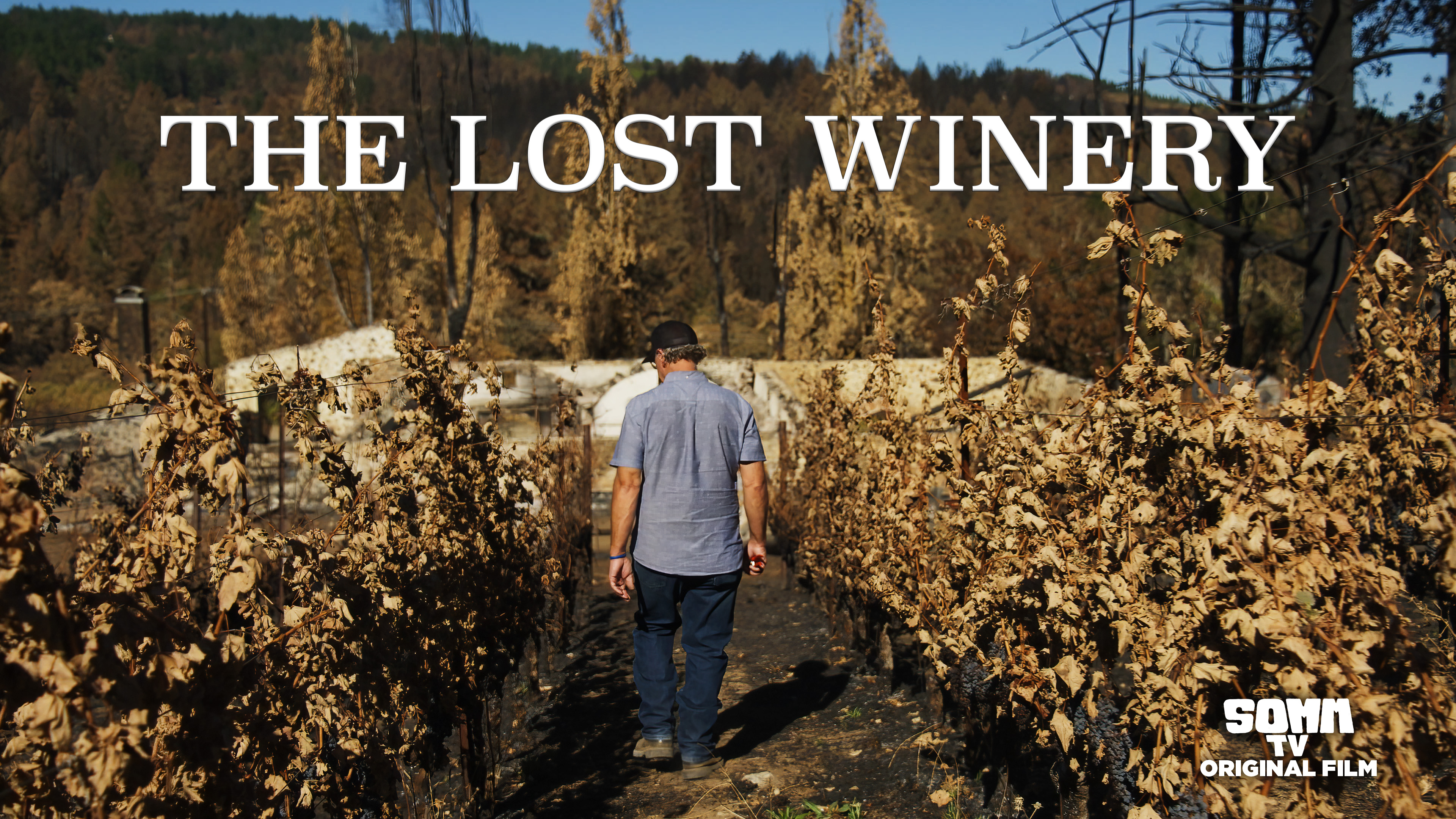 The Lost Winery