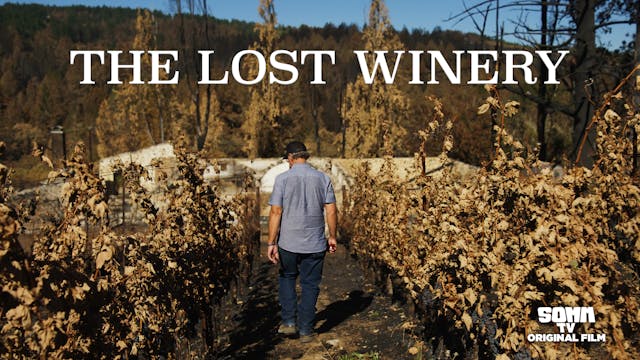 The Lost Winery