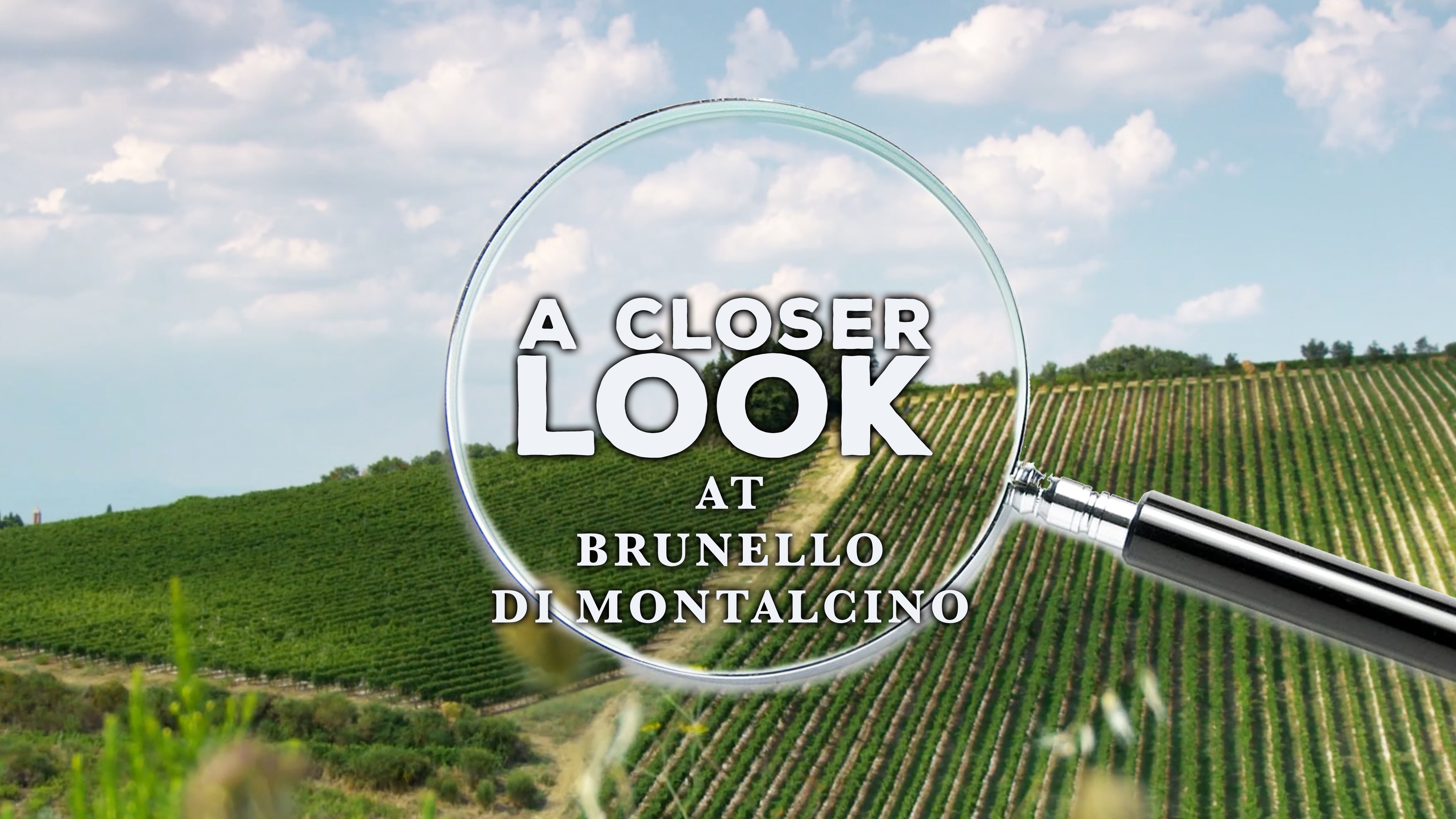 A Closer Look at Brunello di Montalcino