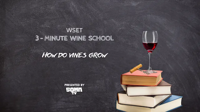 WSET 3 Minute Wine School: How Do Vin...