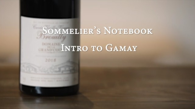 An Intro to Gamay