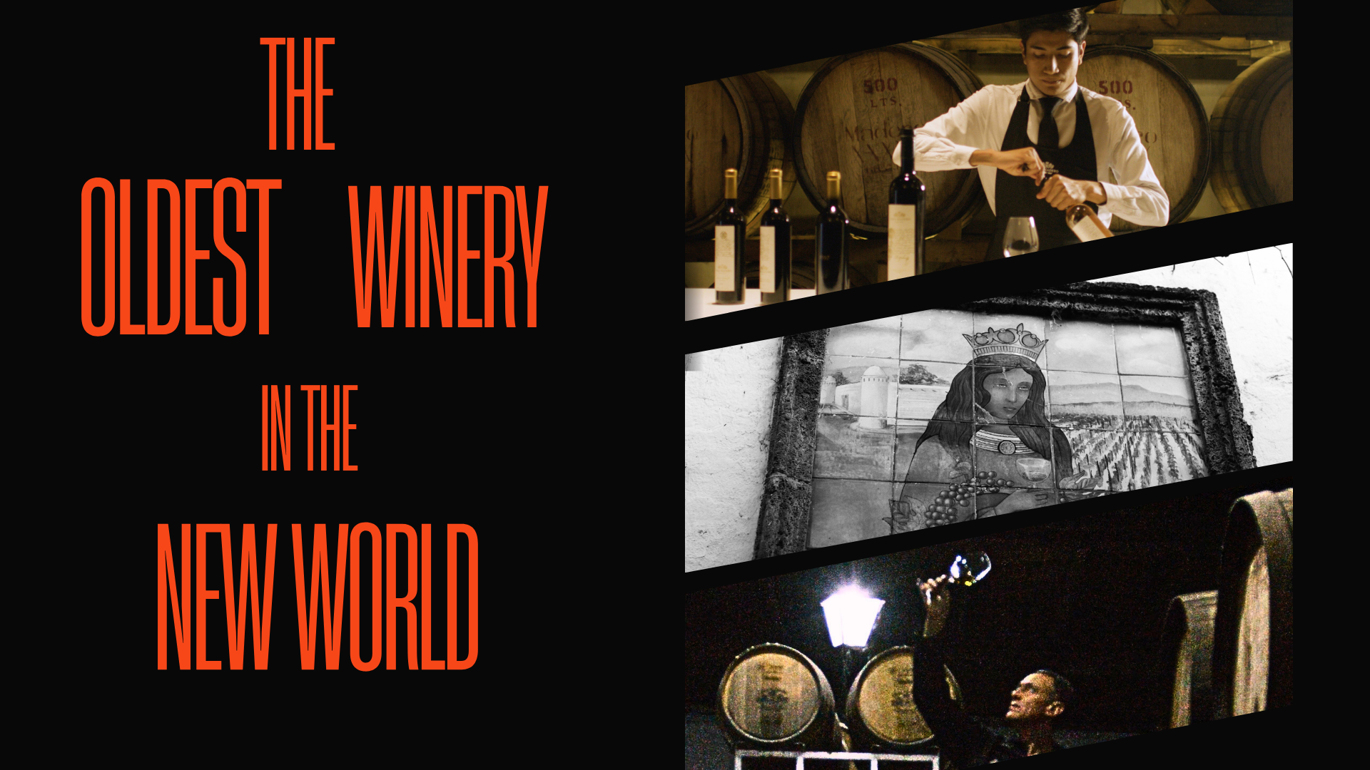 The Oldest Winery in the New World