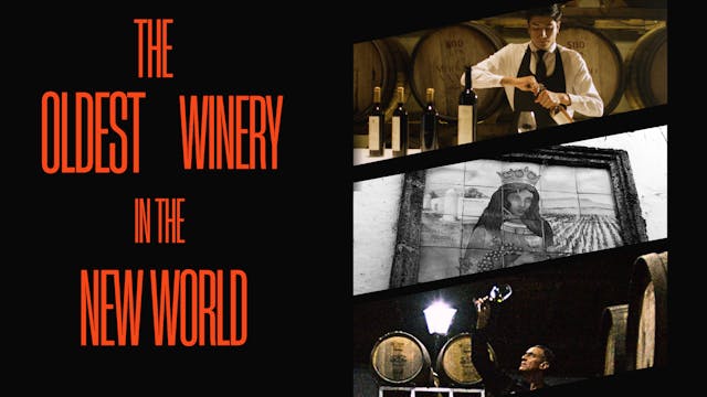 The Oldest Winery in the New World