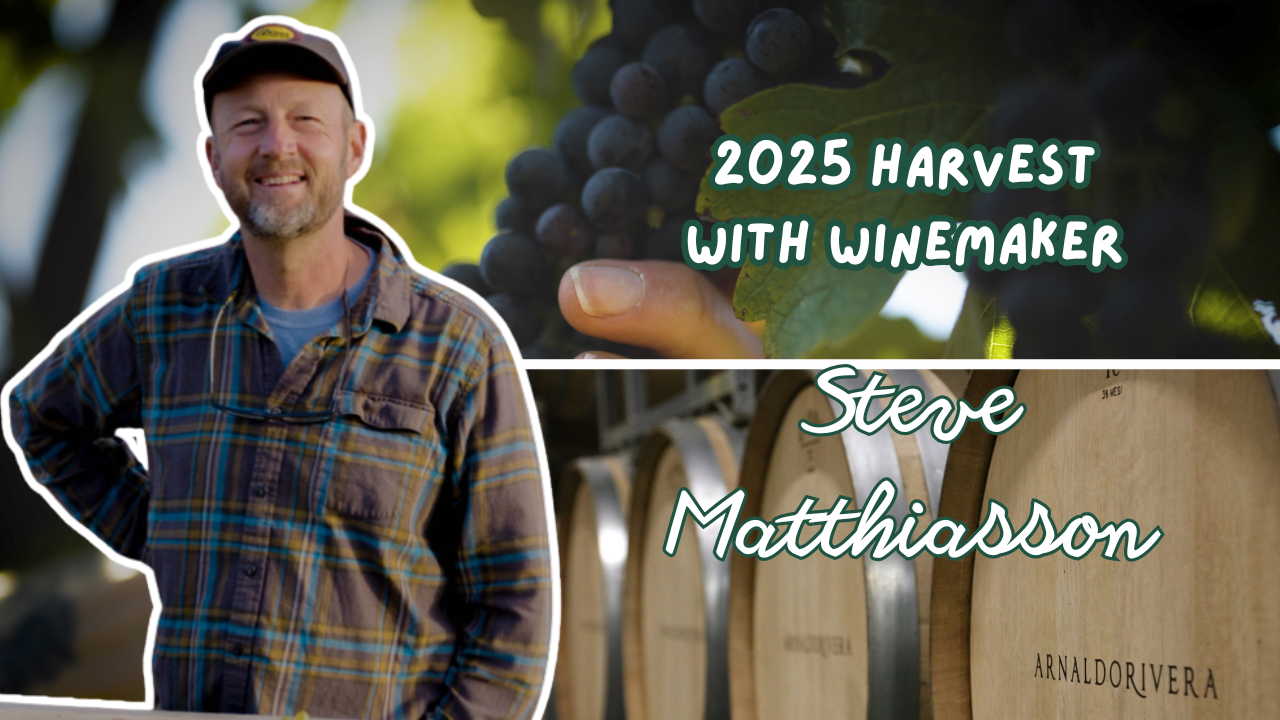 The 2025 Harvest with Steve Matthiasson